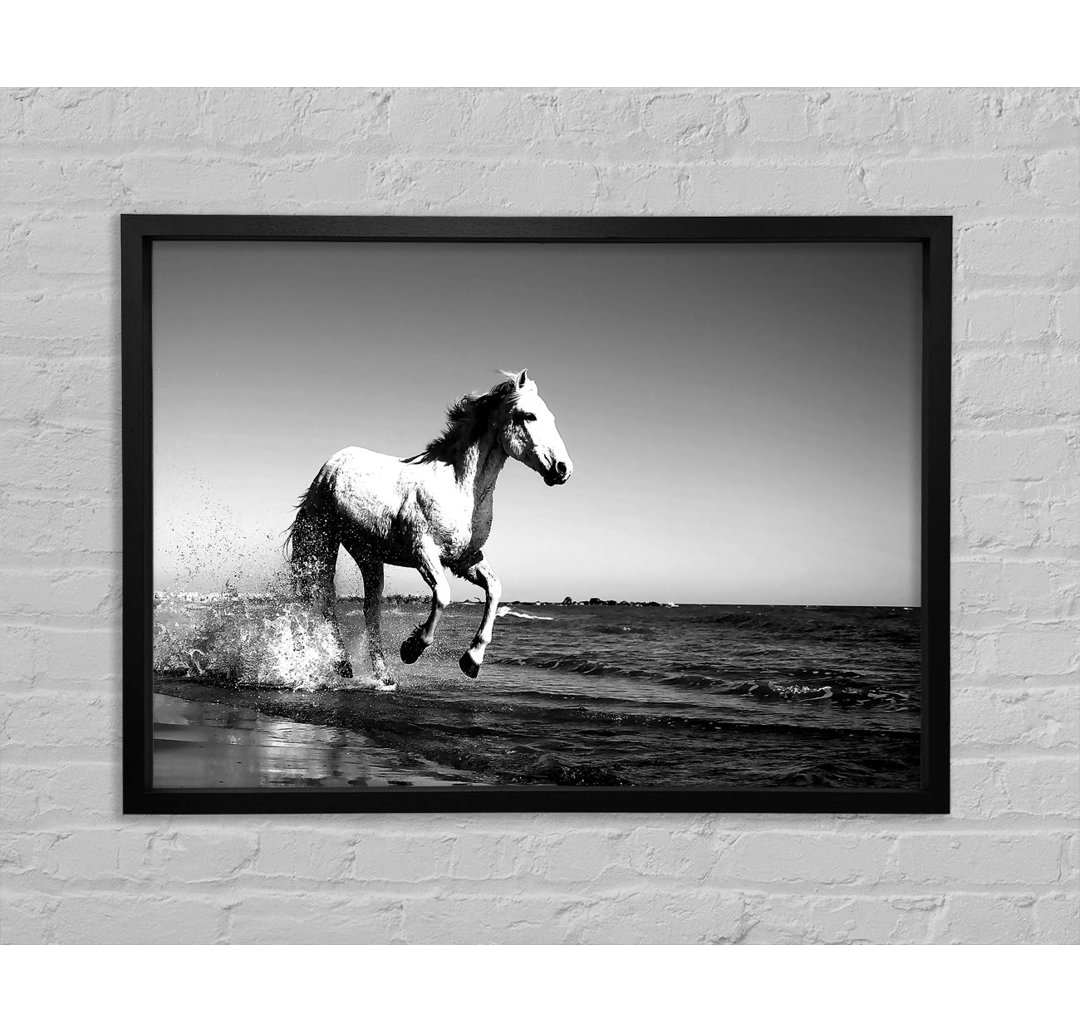 Camargue White Horse - Einzelner Bilderrahmen Kunstdrucke auf Leinwand