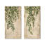 «Green Botanical Plant Vines I - Plants», ensemble de 2 pièces d'art mural-1090071-1090077-1090076