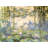 Water Lilies and Willow Branches-2049687894