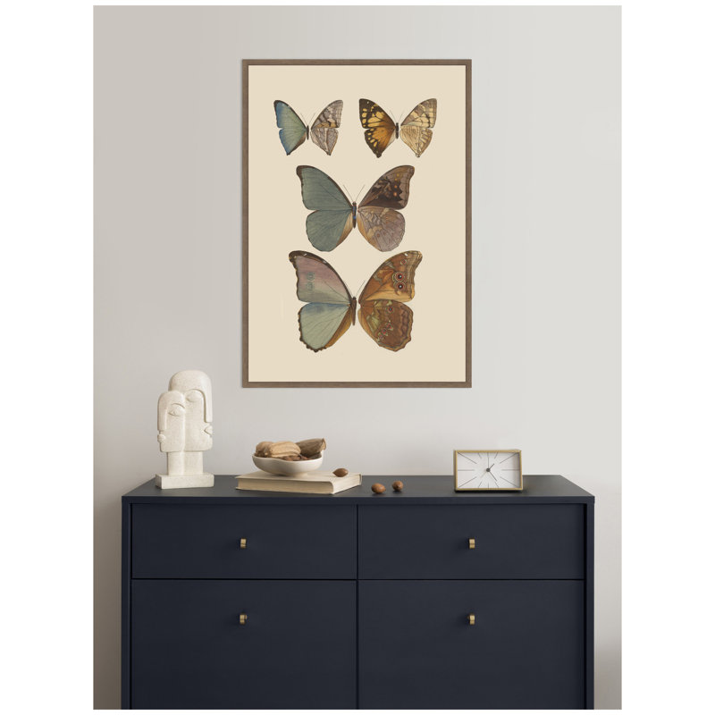 Exotischmetterlinge Pl 067 par Otto Staudinger par Nostalgia Prints, reproduction d'art sur toile encadrée