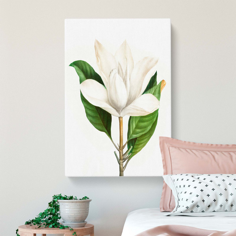 White Southern Magnolia Flower by Pierre-Joseph Redoute - Wrapped Canvas Painting, 50cm H x 35cm W x 3cm D