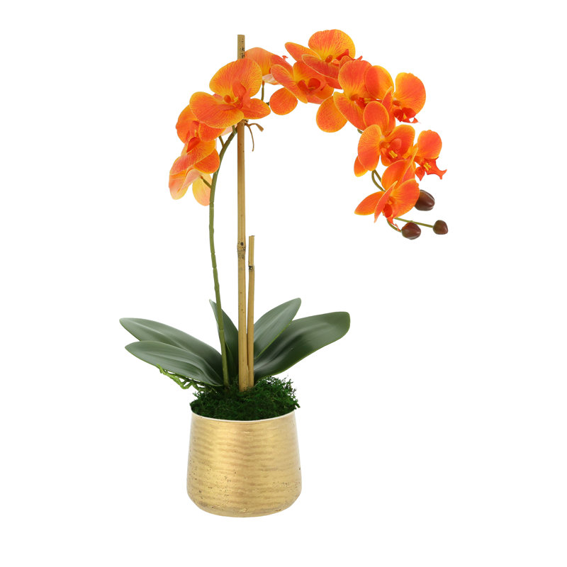 Polysilk Orchid Arrangement in Pot