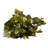 Pothos Ledge Plant Silk Plant