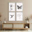 "Ensemble de vol d'oiseaux et de colibris"-101519804-101519805