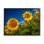 «Gorgeous Sunflower Field Summery Blue Clouds Sky» par Steve Smith - Photographie de cadre flottant sur toile