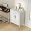 80cm Wide Steel File Cabinet-636038254