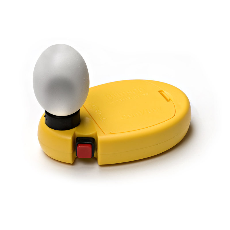 Heating / Lighting
