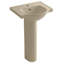 Veer™ Ceramic Pedestal Bathroom Sink with Overflow-10942336-19195678-46044463