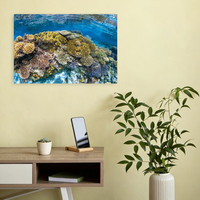 Impression murale Panoreef Ocean Tropical