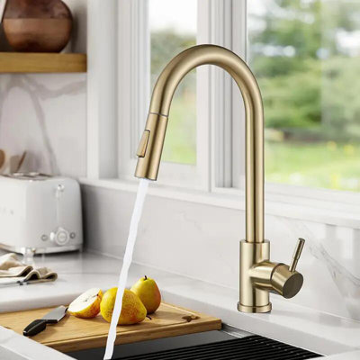 Belfry Kitchen Pull Out Kitchen Faucet