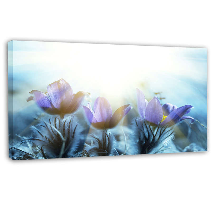 «Blooming Blue Spring Flowers», reproduction de photo sur toile, H 16 po x l 32 po