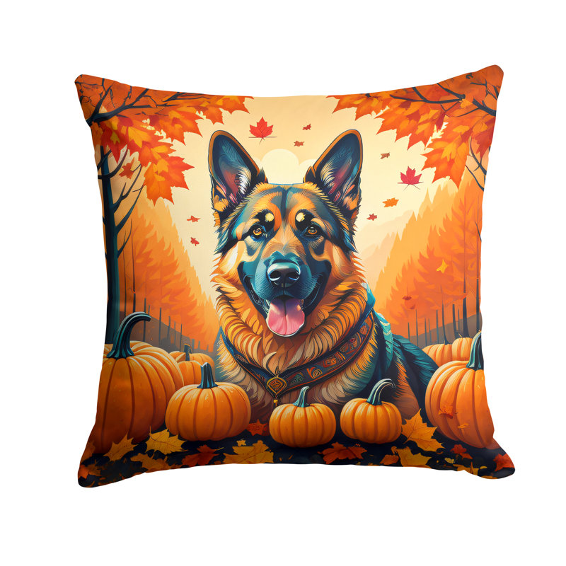 Other/No Pattern Outdoor Throw Pillow, 14" x 14"