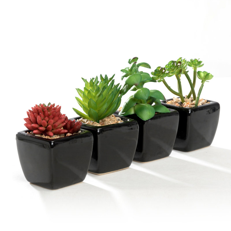 Ensemble de 4 mini plantes grasses artificielles dans des pots en céramique, Noir