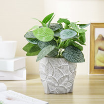 Real Touch Faux Plants You'll Love