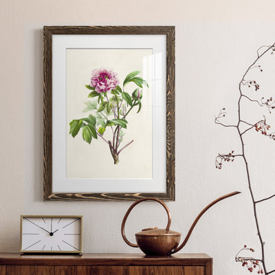«Pretty Botanicals V», cadre photo