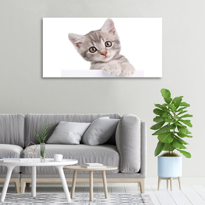 Gray Cat - No Frame Print on Canvas