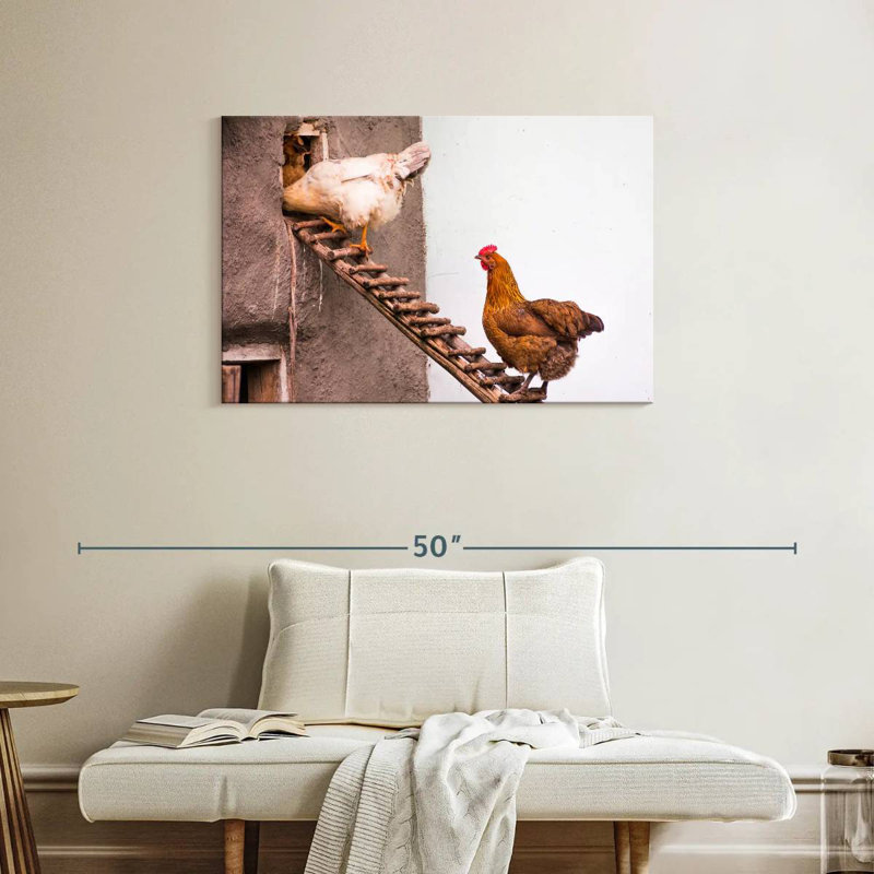 Brampt Chicken Coop, 24" H x 36" W