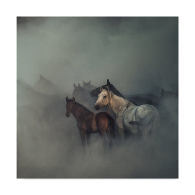 Les chevaux perdus par Huseyin, tâche? N - reproduction de photo sur toile