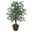 Série de ficus artificiels panachés-1288919188