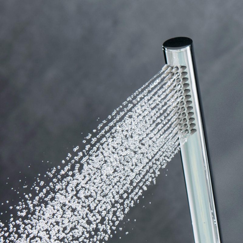 Handheld Shower Head 1.75 GPM GPM, Chrome