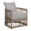 Newport Arm Chair with Cushions-84544964-63361294-93646472