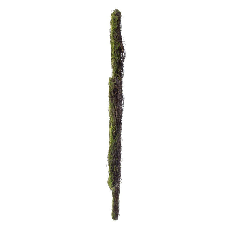 Vickerman 24"H x 24"W Shamrock Outline Wreath. Made of natural twigs with a hint of artificial moss.