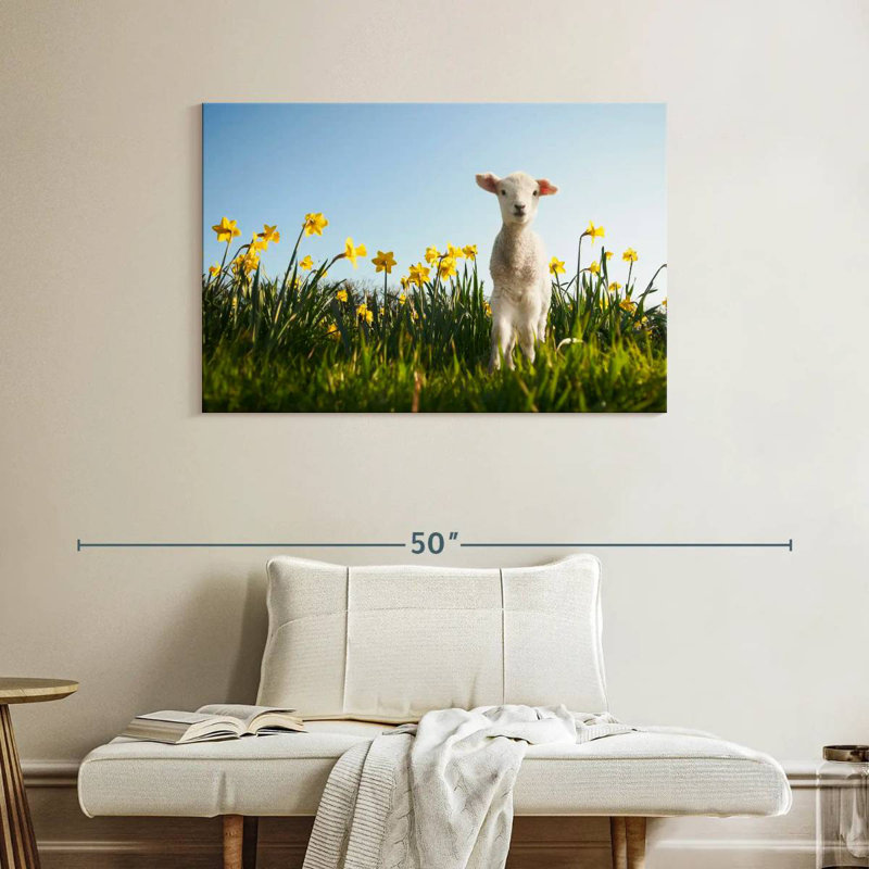 Brampt Springtime Lamb, 26" H x 39" W