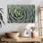 Harnek Thorny Succulent