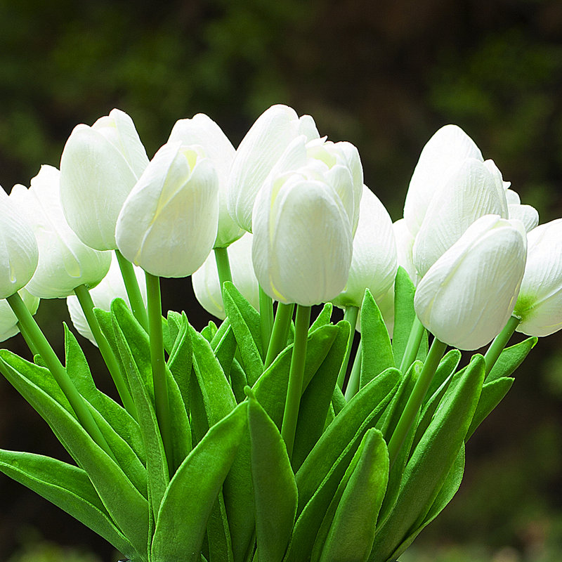 Silk Tulip Arrangement in Vase, White 