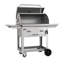 Barbecue au charbon Bull Bison sur chariot