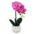 Fuchsia est en rupture de stock