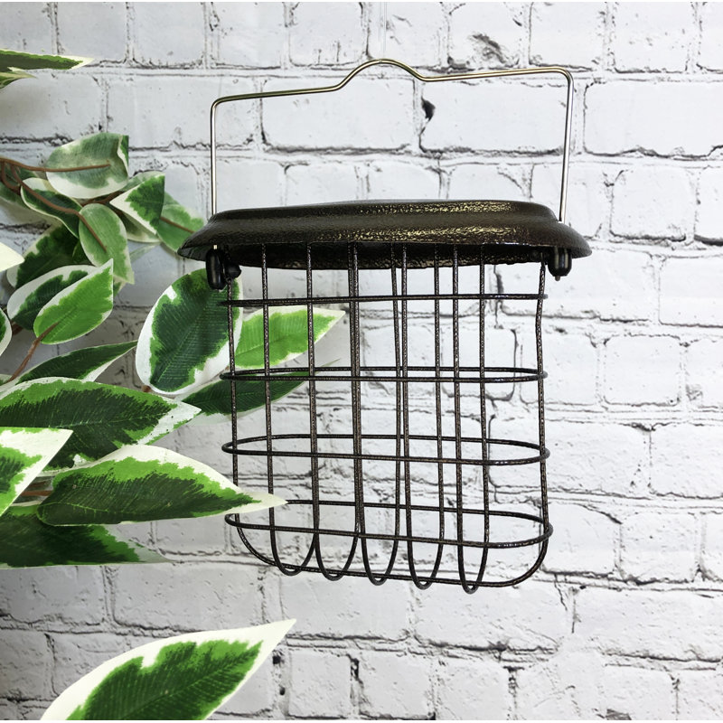 Exuma Metal Hanging Suet Bird Feeder