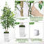 Ficus benjamin artificiel 6 pi Evergreen-1483755944