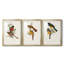 ElegantTrogonsI - Impression sur mesure encadrée de qualité supérieure - 3 pièces-1317543430-1317543482