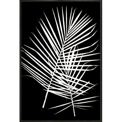 Eric Linton " Majesty Palm 1 "