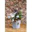 Cassandra Metal Cachepot-1498143599