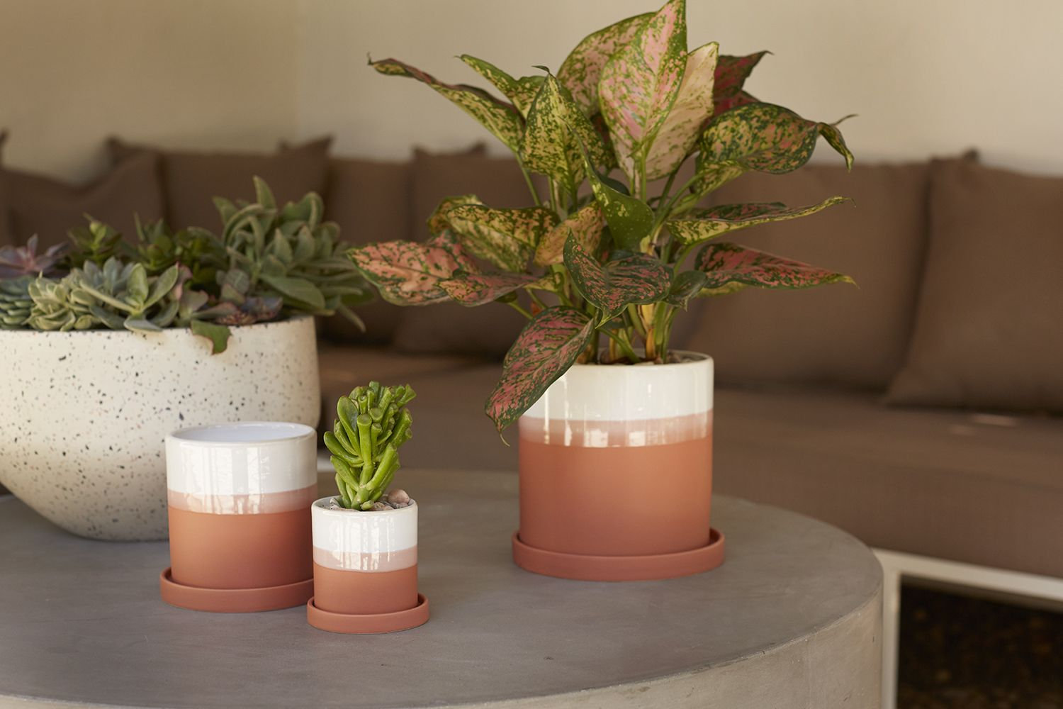 Edson Handmade Ceramic Pot Planter, 4,25" H x 4.5" W x 4.5" D