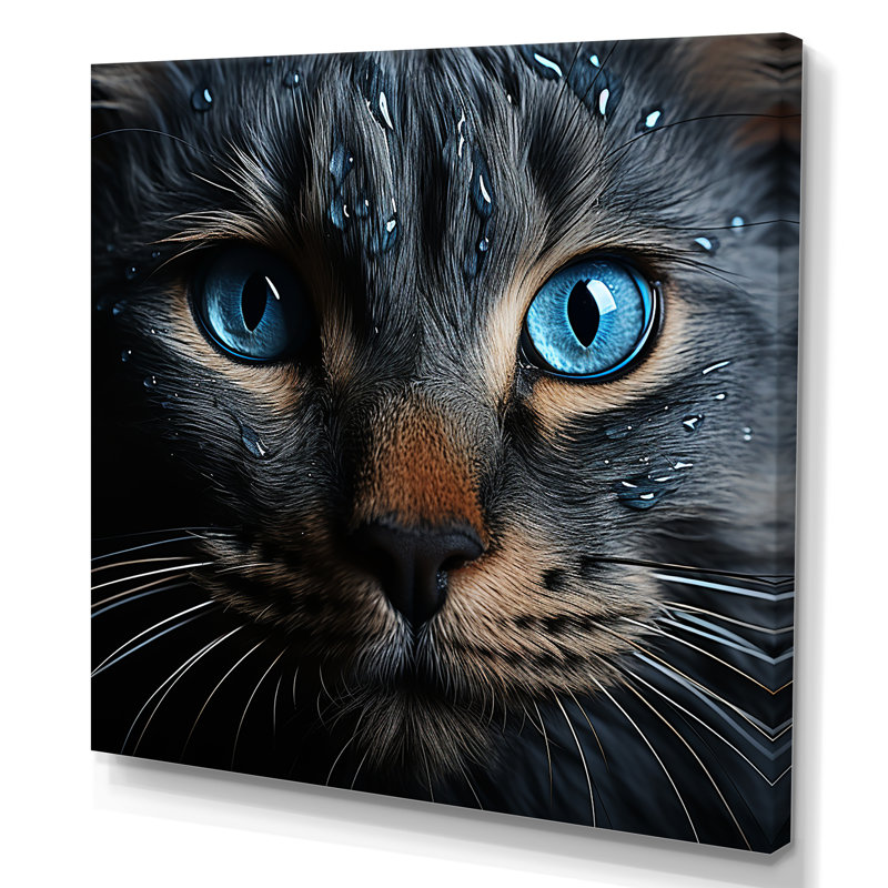 Chat, yeux bleus, chat, H 30 po x l 30 po x P 1 po, Toile tendue
