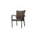 Alyisa Outdoor Stacking Dining Armchair