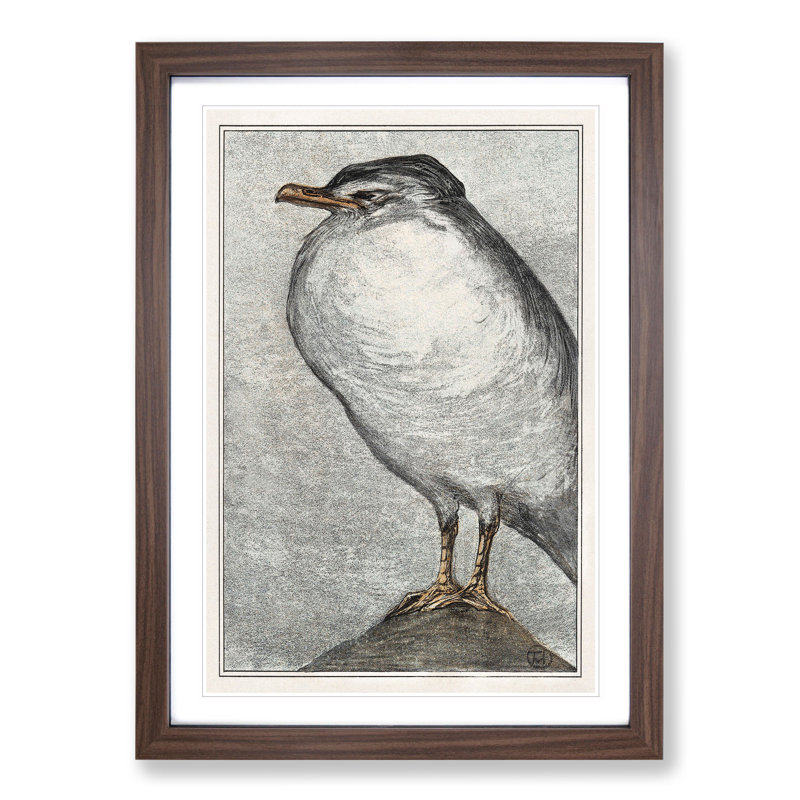 Herring Gull by Theo Van Hoytema - Framed Print, Walnut Framed, 36cm H x 27cm W x 2cm D