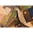 Neace Multi Rug