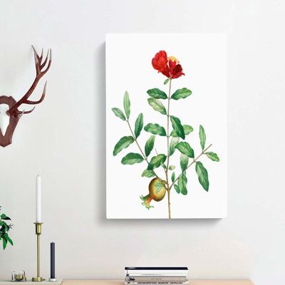 Pomegranate Tree Branch by Pierre-Joseph Redoute - Wrapped Canvas Print