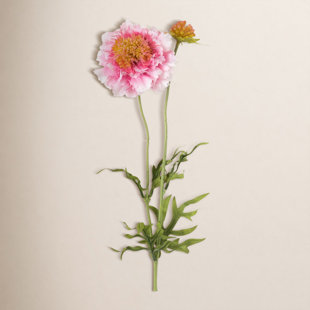 Vibrant Bloom Scabiosa Sprays (Set of 2)
