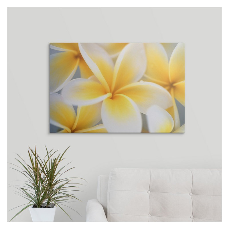 Fleurs - reproduction de photo, H 32 po x l 48 po x P 1,5 po, Toile