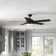 Stembridge 52'' Ceiling Fan with LED Lights