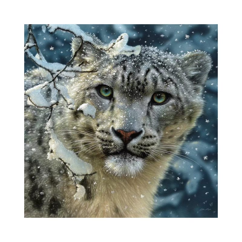 Snow leopard, carré, H 12 po x l 12 po x P 1,5 po, Toile tendue, Pas de tapis
