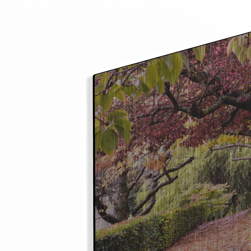 «Arch of Trees» par Colby Chester, art mural en métal, 12 po x 12 po, H 12 po x l 12 po