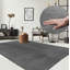 Taurasi Area Rug-1233758178