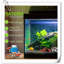 Accessoire pour aquarium Eyrun