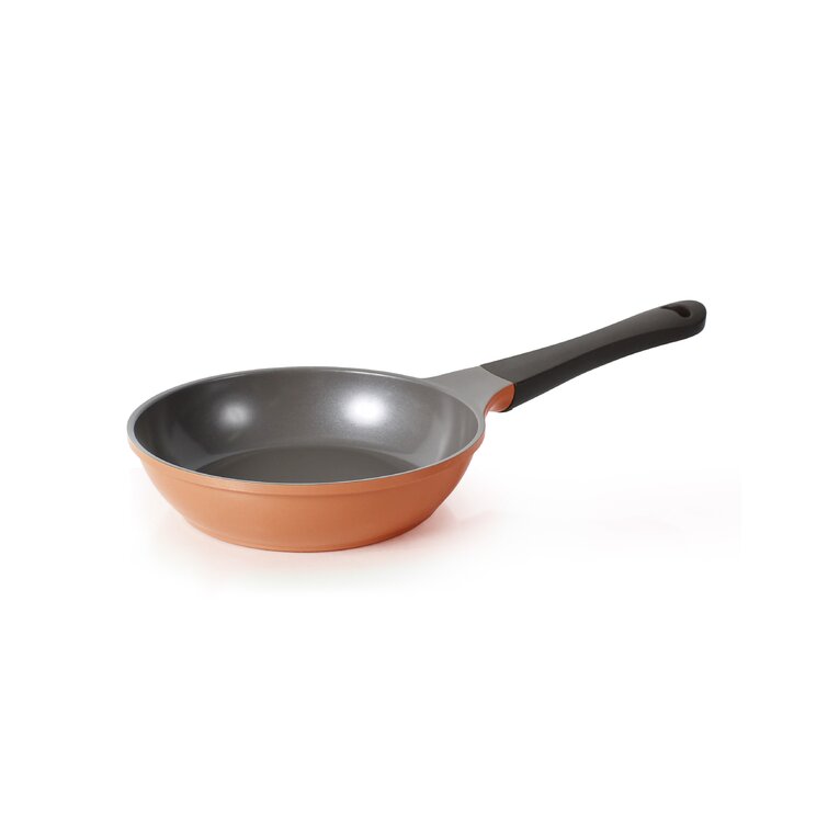 https://assets.wfcdn.com/im/84179874/resize-h755-w755%5Ecompr-r85/1609/16099617/Neoflam+Eela+Enameled+Cast+Iron+Non+Stick+Frying+Pan.jpg